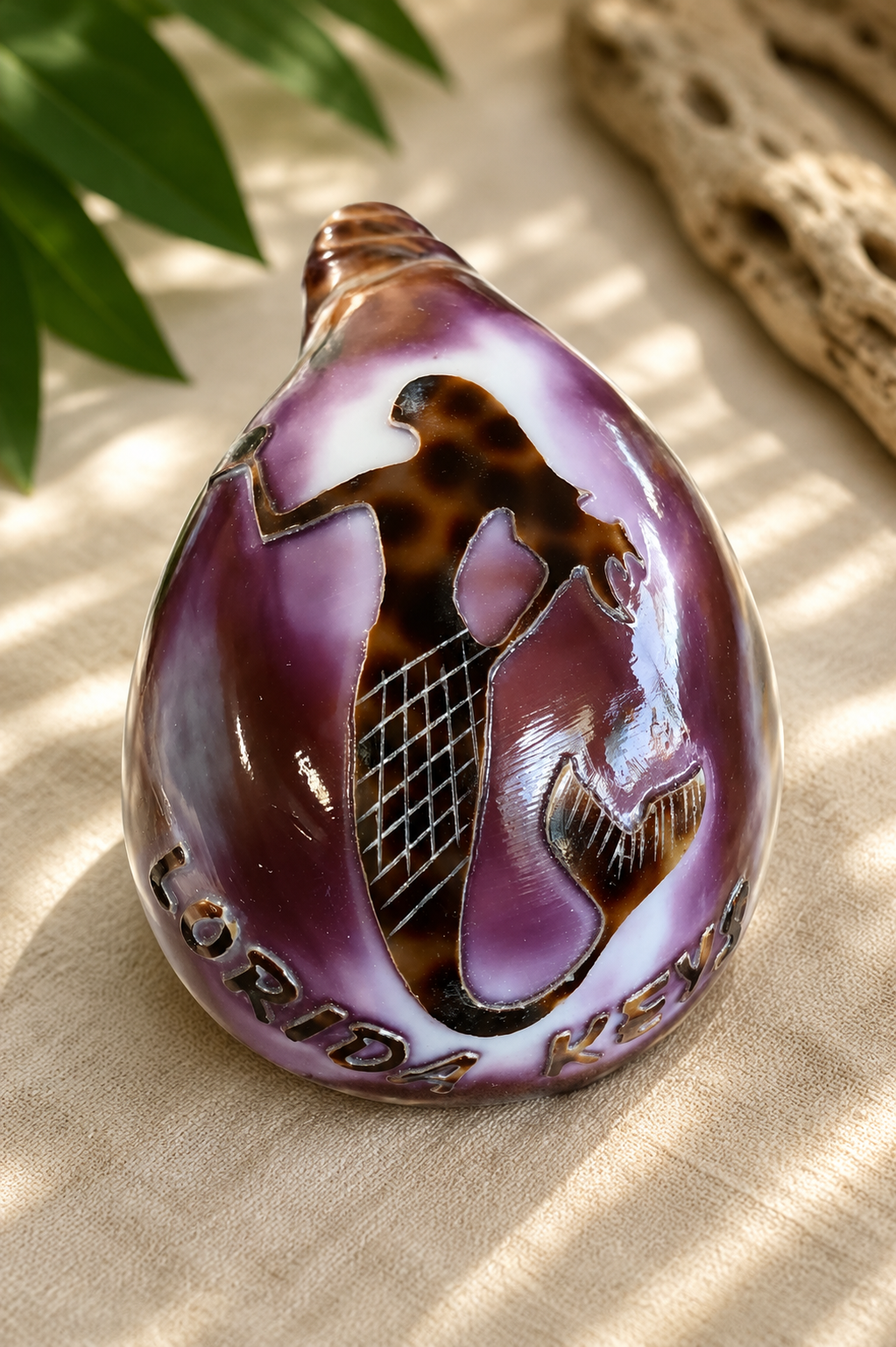 Tiger Cowrie Seashell (Cypraea Tigris)